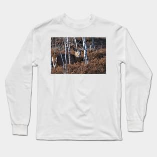 White-tailed Deer Long Sleeve T-Shirt